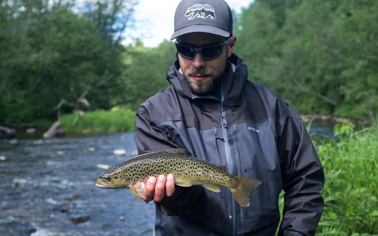 Успех Salmo Trutta